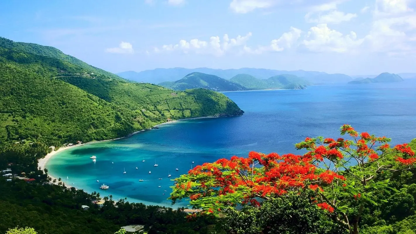 高端创意